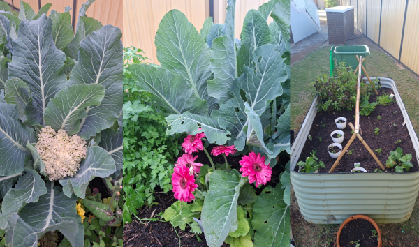 A splitscreen image of the garden at the Brentwood house